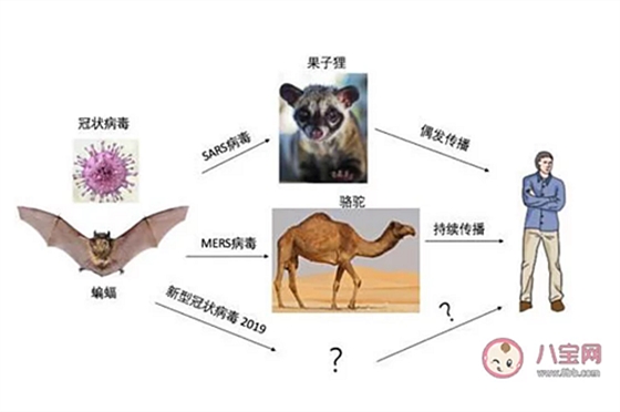 新型冠狀病毒感染了一定會(huì)發(fā)熱嗎？新型冠狀病毒前期的癥狀有哪些？