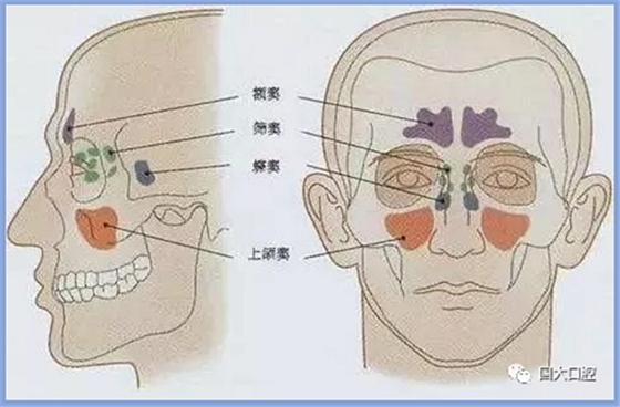 疫情期間，種植科突發(fā)狀況居家處理建議