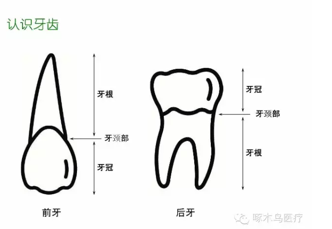 QQ圖片20150710135025.png