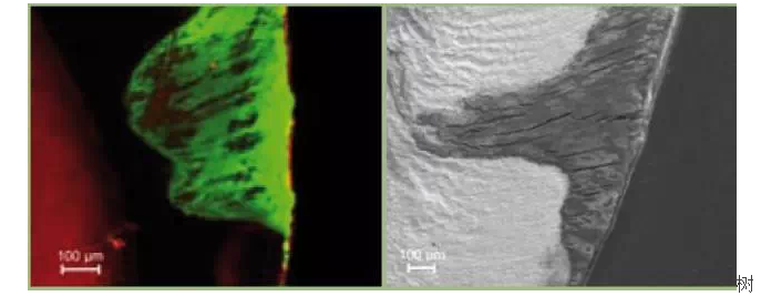 QQ圖片20150717174524.png QQ圖片20150717174524.png