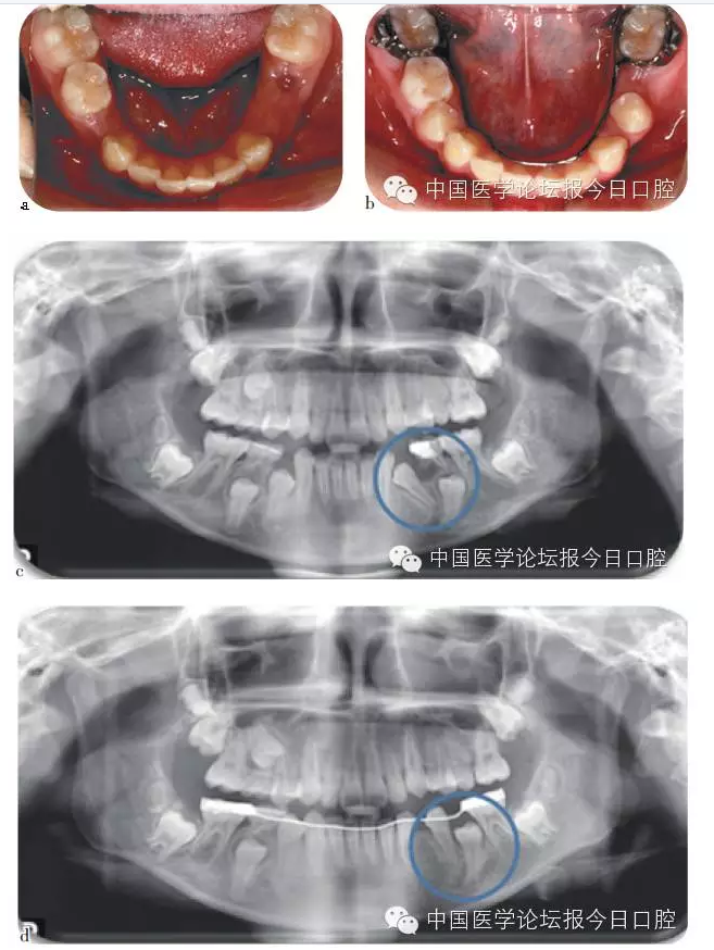 QQ圖片20150730110306.png