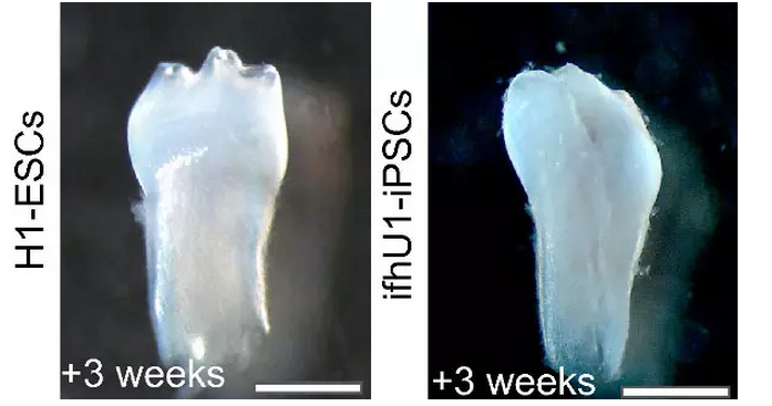 QQ圖片20150814095147.png QQ圖片20150814095147.png