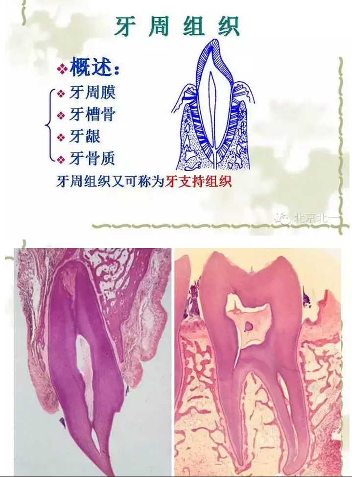 QQ圖片20150814100954.png QQ圖片20150814100954.png