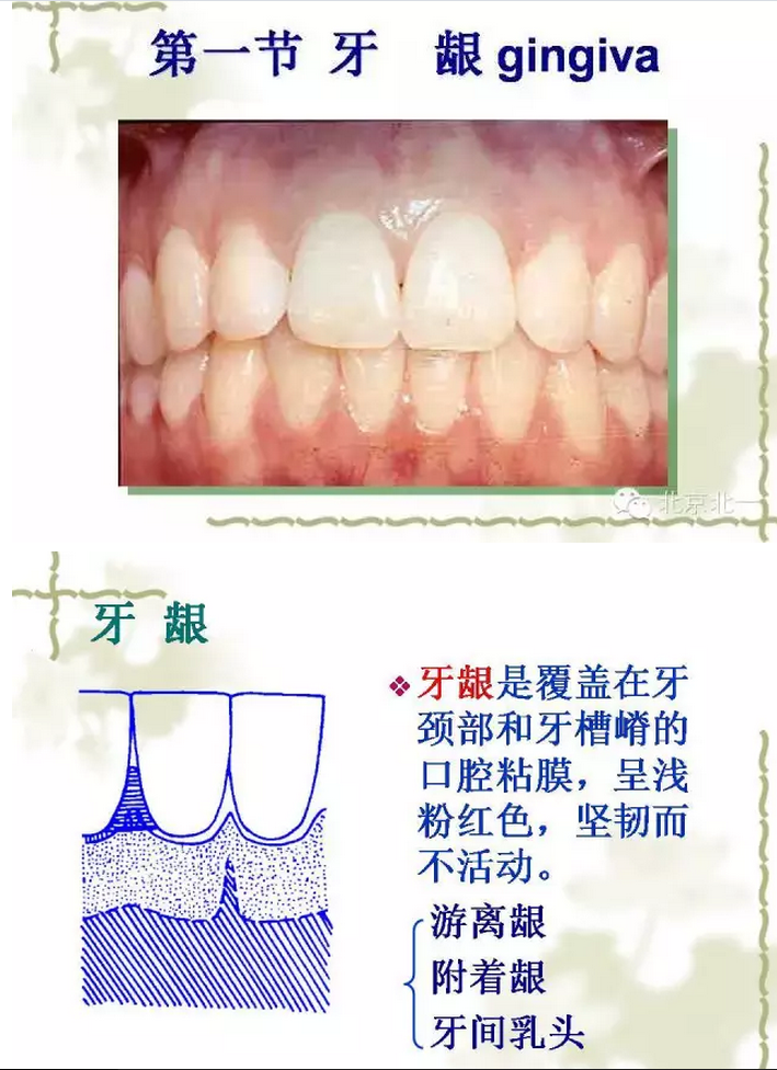 QQ圖片20150814101011.png QQ圖片20150814101011.png