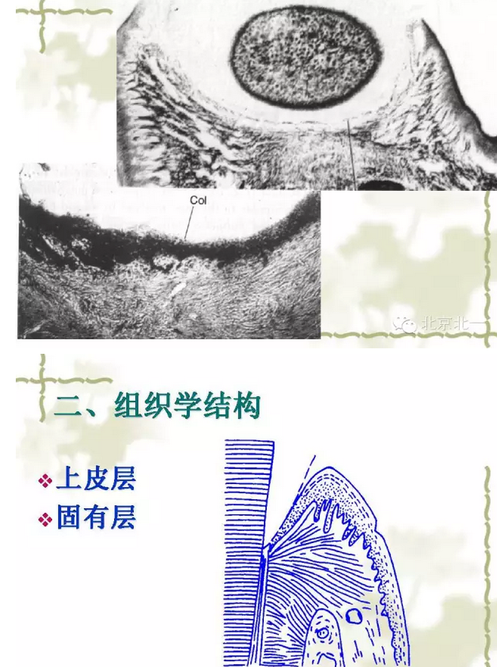 QQ圖片20150814101125.png QQ圖片20150814101125.png