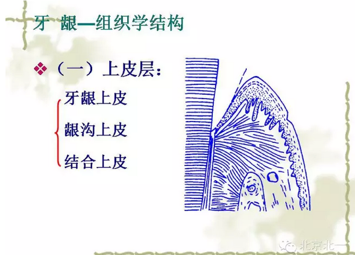 QQ圖片20150814101138.png QQ圖片20150814101138.png