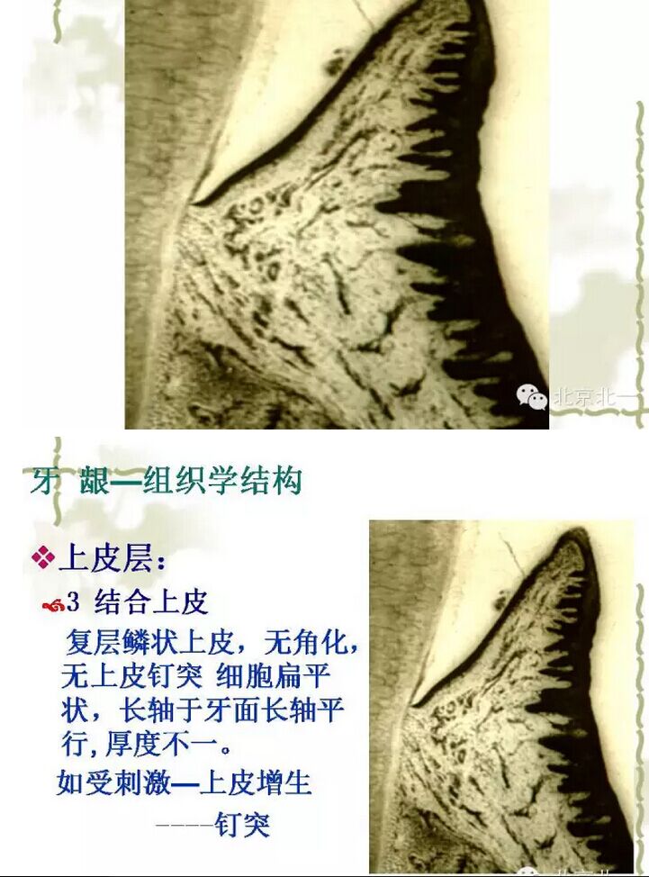 QQ圖片20150814101216.jpg QQ圖片20150814101216.jpg