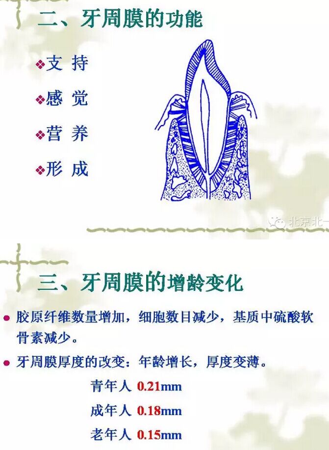 QQ圖片20150814102238.jpg