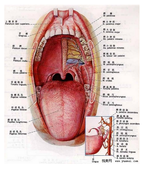 QQ圖片20150814140447.png QQ圖片20150814140447.png