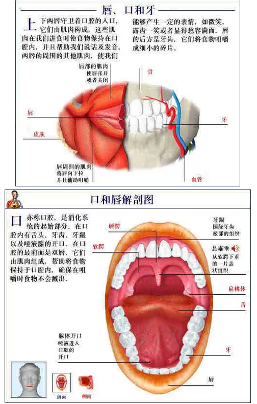 QQ圖片20150815170735.png