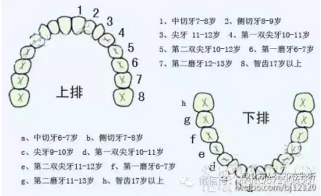 QQ圖片20150819091617.png