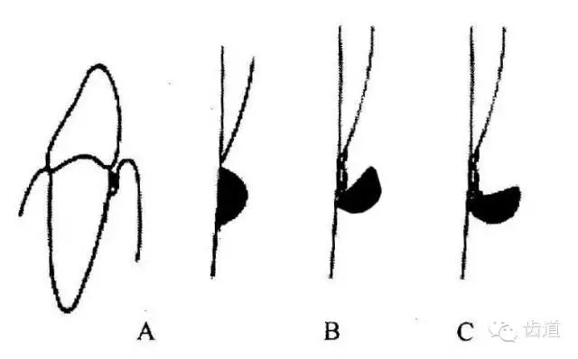 640 (1).webp (30).jpg