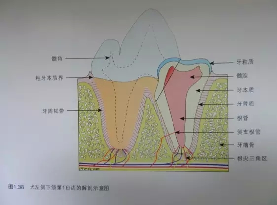 1.webp.jpg 1.webp.jpg