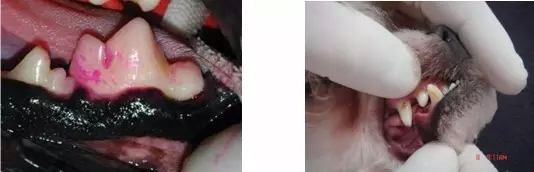 4.webp.jpg 4.webp.jpg