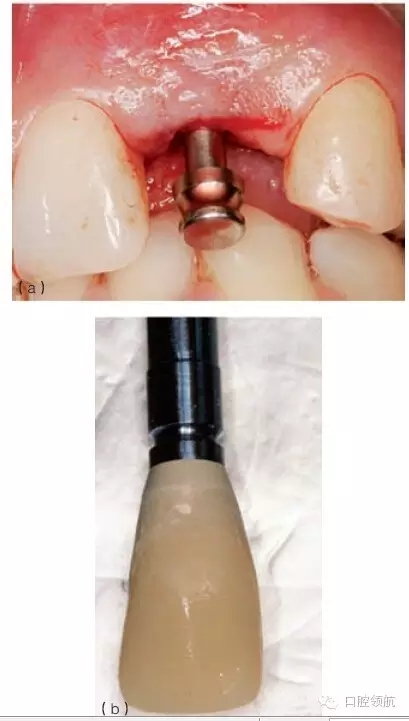 10.webp.jpg 10.webp.jpg