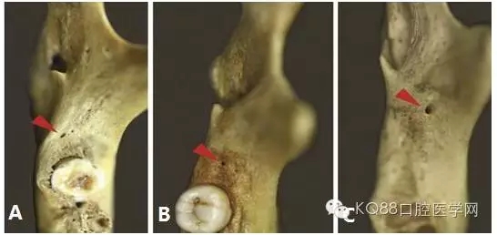 640.webp (1).jpg 640.webp (1).jpg