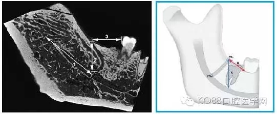 640.webp (3).jpg 640.webp (3).jpg