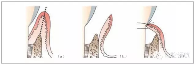 640.webp (52).jpg 640.webp (52).jpg