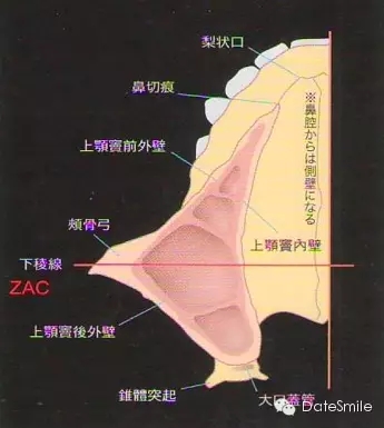 0.webp (1).jpg 0.webp (1).jpg