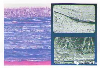 0.webp (4).jpg 0.webp (4).jpg