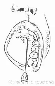 0.webp (7).jpg 0.webp (7).jpg