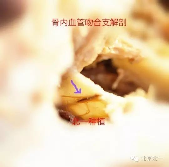 640.webp (3).jpg 640.webp (3).jpg