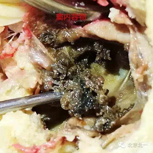 640.webp (8).jpg 640.webp (8).jpg