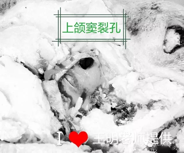 640.webp (9).jpg 640.webp (9).jpg