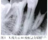 640.webp (1).jpg 640.webp (1).jpg