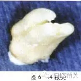 640.webp (6).jpg 640.webp (6).jpg