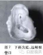 640.webp (7).jpg 640.webp (7).jpg