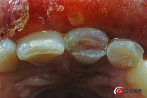 2.webp.jpg 2.webp.jpg