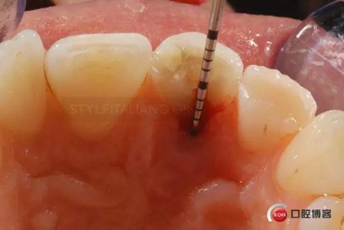 4.webp.jpg 4.webp.jpg