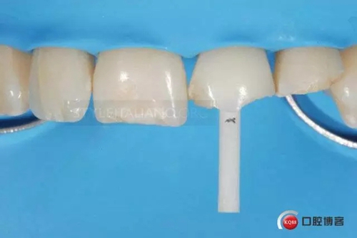 13.webp.jpg 13.webp.jpg