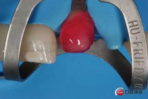 23.webp.jpg 23.webp.jpg