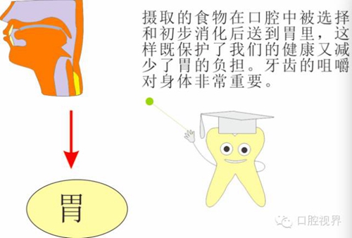 【口腔科普】愛(ài)牙從這里開(kāi)始——愛(ài)牙科普知識(shí)300問(wèn)（連載四）