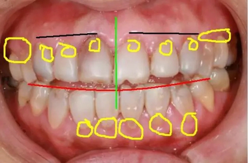 1.webp (2).jpg 1.webp (2).jpg