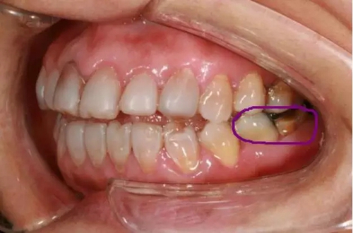 2.webp (1).jpg 2.webp (1).jpg