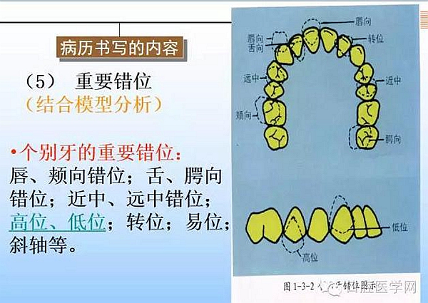 口腔正畸學病歷書寫  