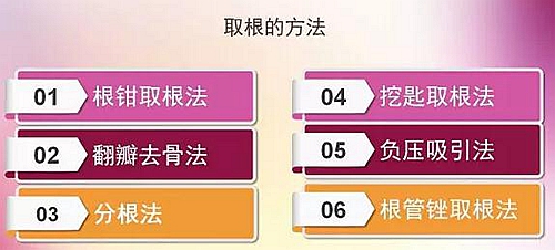 拔牙斷根的去與留？