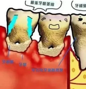 5.png 5.png