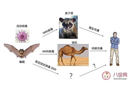 新型冠狀病毒感染了一定會(huì)發(fā)熱嗎？新型冠狀病毒前期的癥狀有哪些？