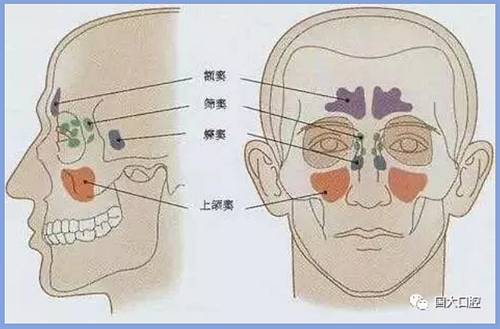 疫情期間，種植科突發(fā)狀況居家處理建議