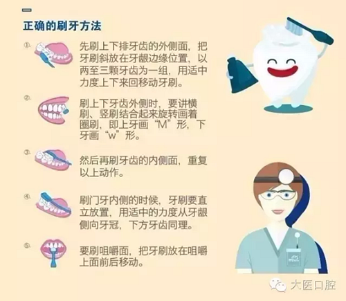 口腔科普圖解 口腔科普圖解