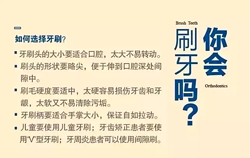 口腔科普圖解 口腔科普圖解