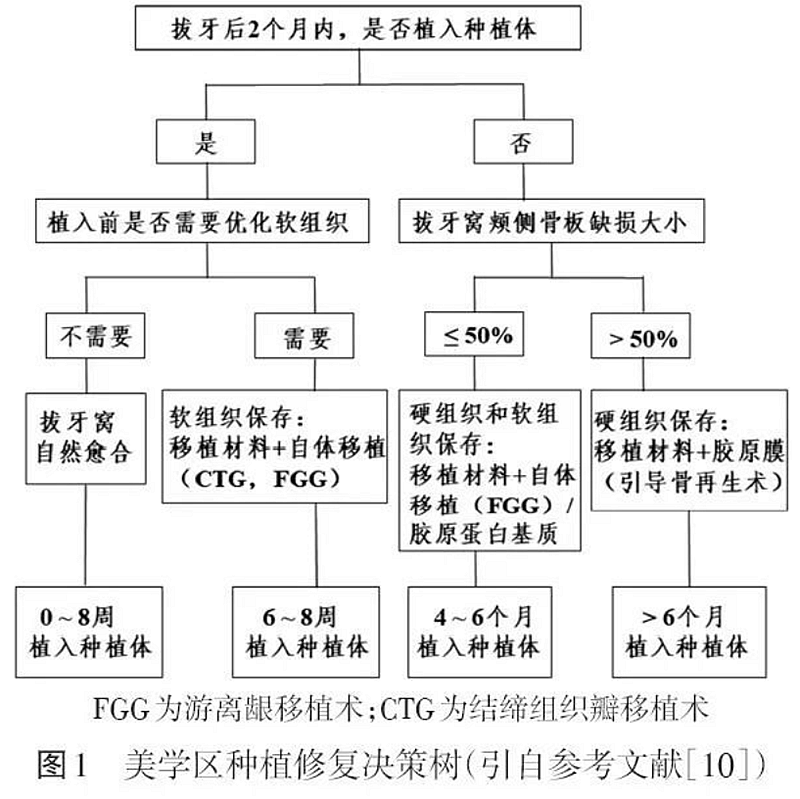  專題筆談 | 前牙美學(xué)區(qū)種植時機(jī)的選擇